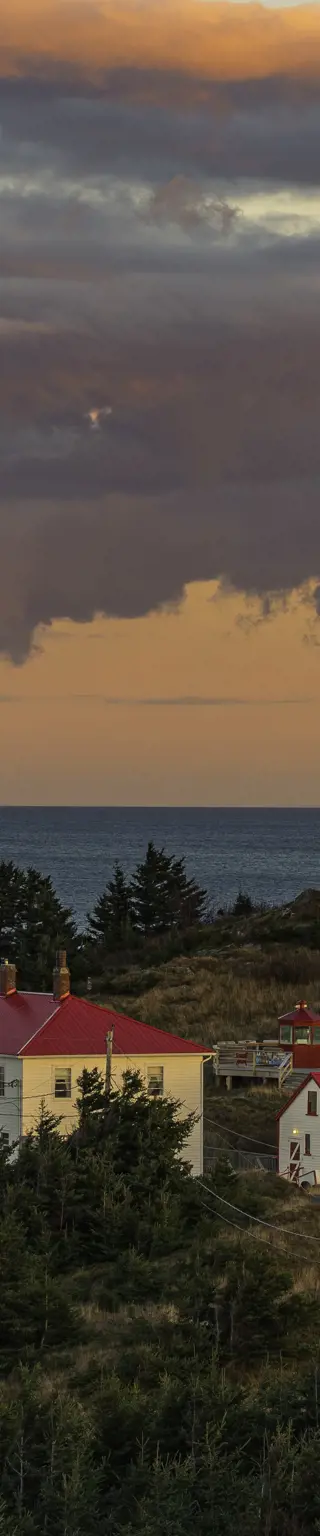 Beobachte Wale von Grand Manan Island